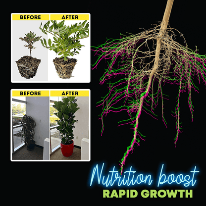 GrowPro™ Rapid Rooting Powder (Last Day Offer!)